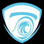 TRUSTED EAGLE SECURITY