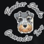 Timeless Studio Canada Inc