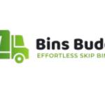 binsbuddy seo