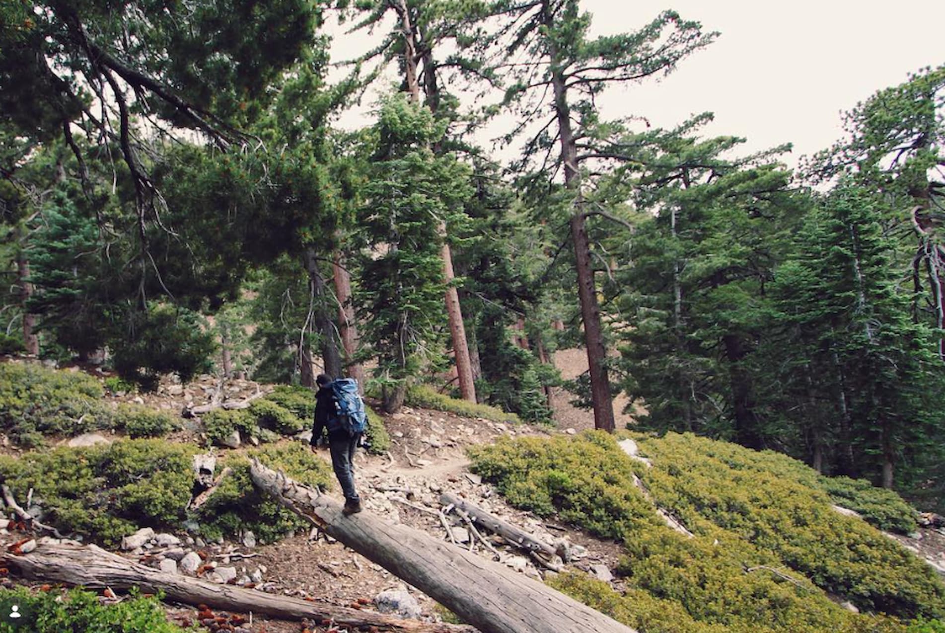 The Ultimate Duffle Bag Buying Guide for Travel, Fitness, and Everyday Carry - Journalyst